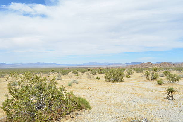istock Expansive Desert Landscape Under a Clear Blue Sky With Distant Mountains and Sparse Vegetation Visible 2249042272
