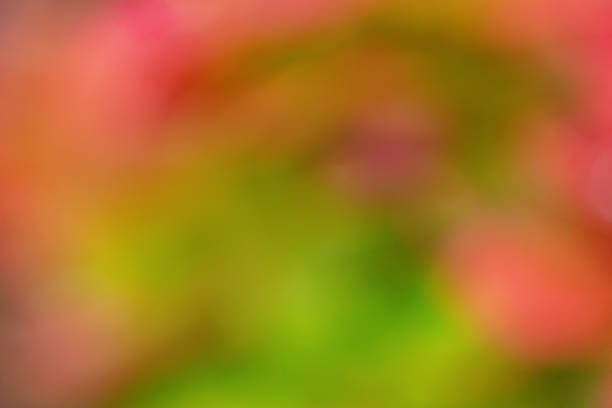 Defocused green with red blurred natural background
