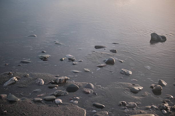 Smooth pebbles on a sandy shoreline, partially submerged in shallow water. The central pebble is distinctly larger, rounded, and grey, surrounded by smaller stones of various colors including muted reds and browns. The ground appears wet, indicating close proximity to a water body. The surface is irregular with scattered pebbles and debris, creating a textured landscape.