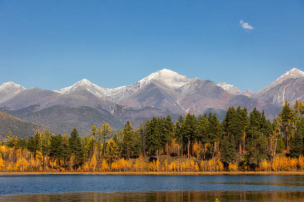 istock A beautiful autumn forest with bright yellow larches against a backdrop of snow-capped mountains. Tunka Valley. Buryatia, Russia. 2249045310