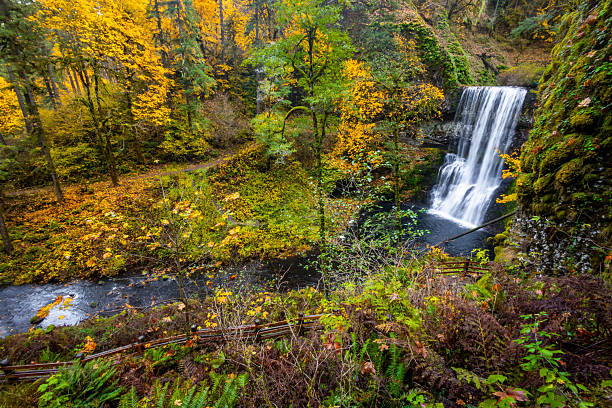 istock Scenic Lower South Falls and Pool in Fall at Silver Falls State Park, Oregon 2249046333