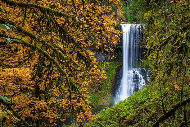istock Beautiful Middle North Falls and Grotto in Fall at Silver Falls State Park 2249046437