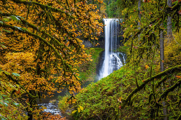 istock Beautiful Middle North Falls and Grotto in Fall at Silver Falls State Park 2249046446