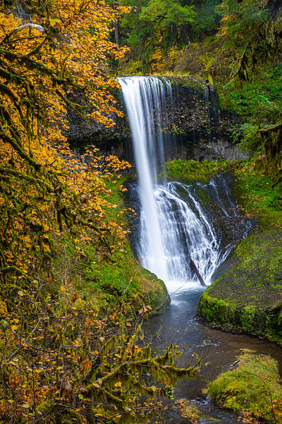 istock Beautiful Middle North Falls and Grotto in Fall at Silver Falls State Park 2249046464