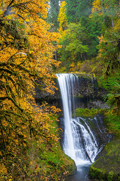istock Beautiful Middle North Falls and Grotto in Fall at Silver Falls State Park 2249046465