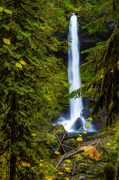 istock Magnificent North Falls and Walk-Behind Feature in Fall at Silver Falls State Park 2249046498
