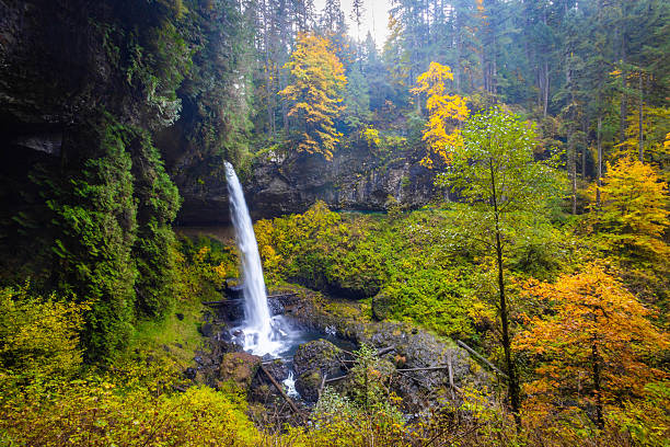 istock Magnificent North Falls and Walk-Behind Feature in Fall at Silver Falls State Park 2249047024