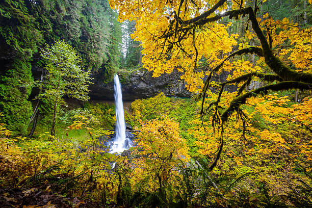 istock Magnificent North Falls and Walk-Behind Feature in Fall at Silver Falls State Park 2249047027