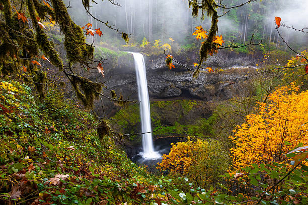 istock Scenic South Falls and Grotto in Fall at Silver Falls State Park, Oregon 2249047606