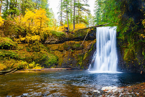 istock Upper North Falls and Plunge Pool in Fall at Silver Falls State Park 2249047610