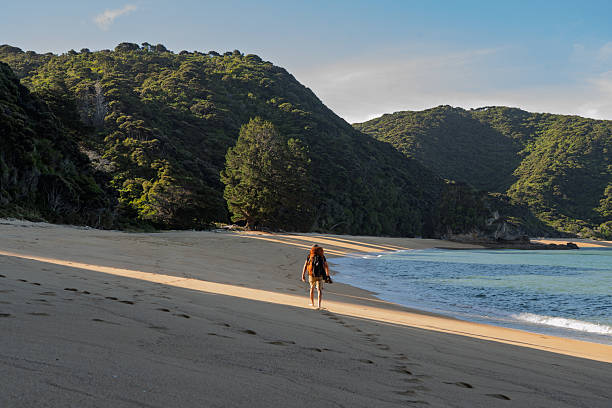 Fiordland New Zealand - April 17 2022; two people in distance on Martin's Bay beach under cloudy sky with wind blowing sea spray off waves with mountains and beach vegetation in silhouette.