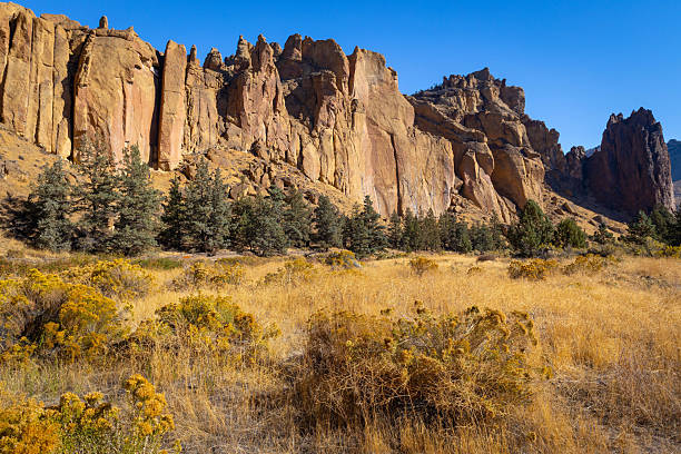 istock A Striking Scenic View of Smith Rock Cliffs on a Summer Day 2249048687