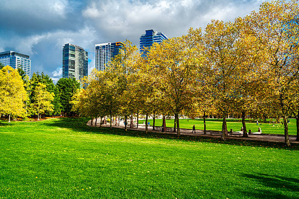 istock Landscape Bellevue Park 6 2249050540