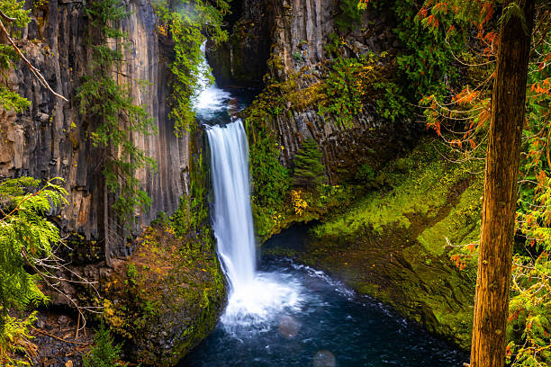 istock Majestic Toketee Falls Surrounded by Colorful Autumn Forest Scenery 2249051311