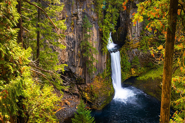 istock Majestic Toketee Falls Surrounded by Colorful Autumn Forest Scenery 2249051340