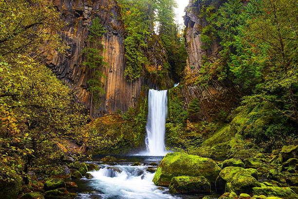 istock Majestic Toketee Falls Surrounded by Colorful Autumn Forest Scenery 2249051383