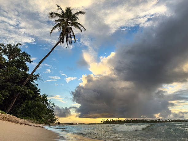 Bealtiful sky day at  sea  on Boipeba Island in Bahia