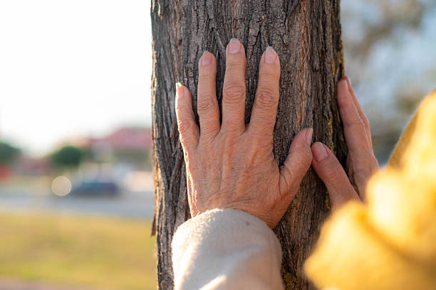 Kid hand on background of bark of tree