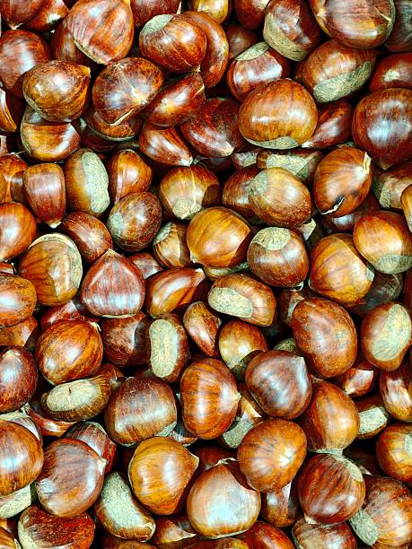 Chestnuts, magosto, magosta, winter festivals.