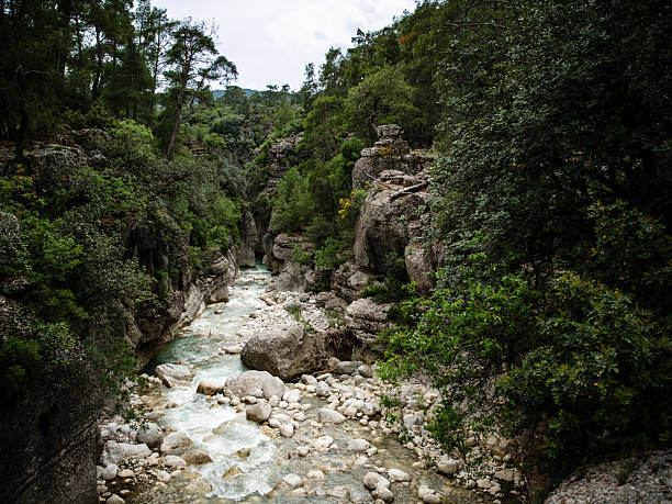 A fast-flowing mountain river runs through a narrow rocky canyon surrounded by dense green forest and dramatic natural cliffs in a remote wilderness area.