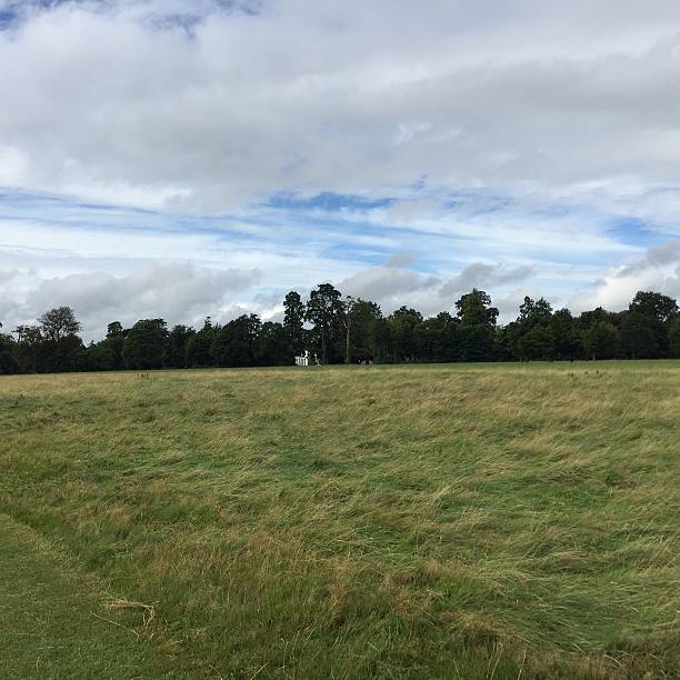 istock Expansive Grassy Meadow With Lush Trees Under a Cloudy Sky in Peaceful Countryside Setting 2249066774