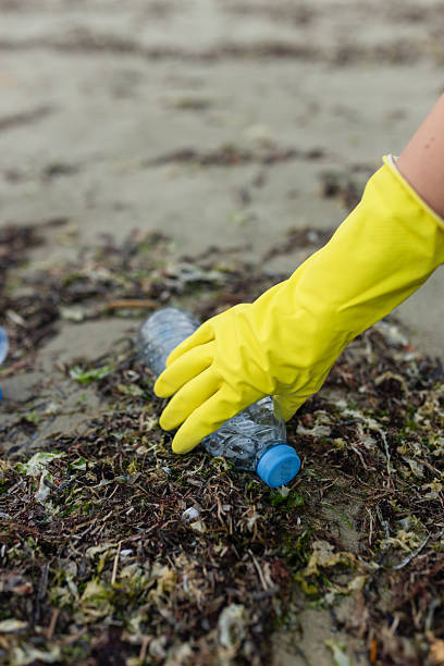 istock volunteer collecting plastic bottles on a 2249067636