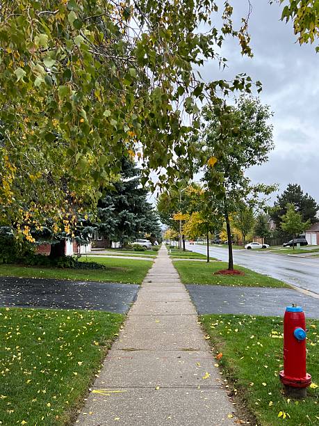 istock A serene, tree-lined street during the autumn season with wet pavement, fall foliage, fallen leaves and red fire hydrant 2249068976