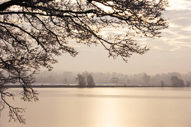 Frosty winter dawn over ponds among white frosted trees, natural wallpaper or background with a nature motif