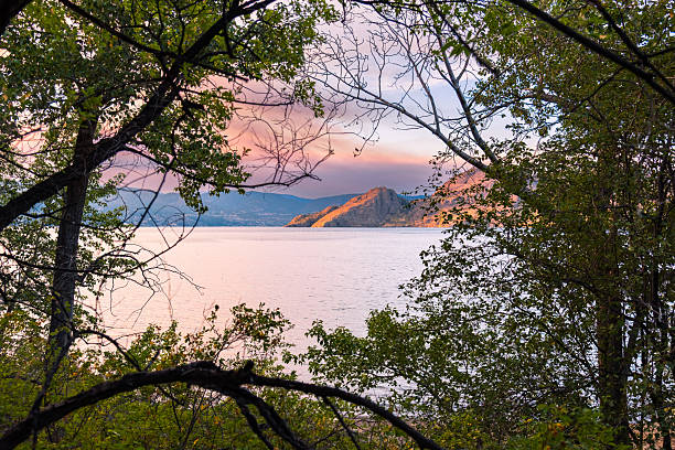 Trees framing a scenic landscape view from Okanagan Lake Provincial Park, looking across Okanagan Lake to Okanagan Mountain Provincial Park.