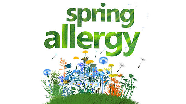Spring Poster Design Illustration of Spring 3D Rendered Text with Colorful Flowers and Flying Butterflies for Spring Season