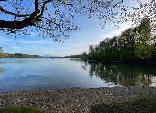 Reflecting trees and sky on calm lake surface with pebble shore. This photo was taken with a smartphone.
