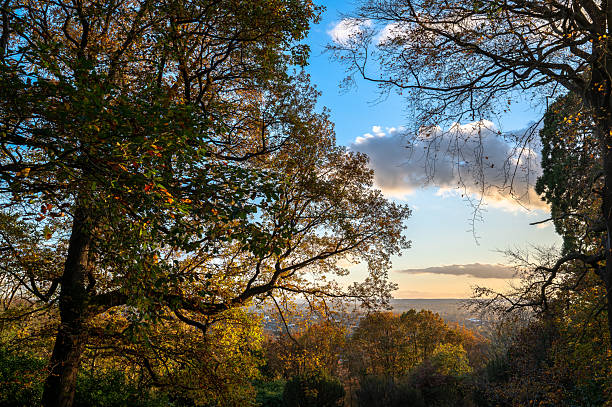 Autumn at Oxleas Woods, one of the few remaining areas of ancient deciduous forest in Eltham in the Royal Borough of Greenwich