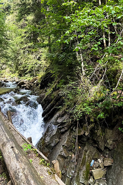 istock Rushing stream flows through forested landscape with rocky outcrops and lush vegetation 2249094351