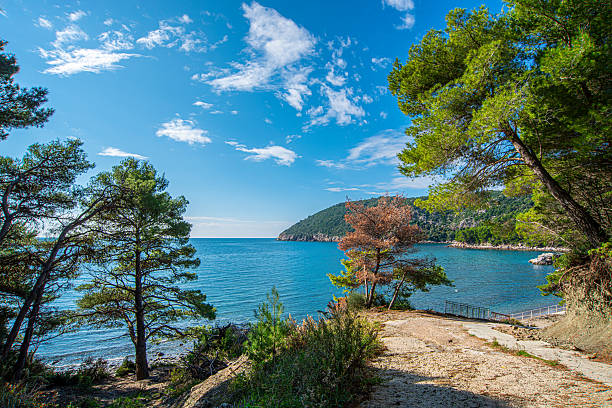 Rocky coastal path descends between pine trees toward a calm blue bay, with clear sea, distant green hills, scattered clouds in a deep sky, and autumn-tinted foliage by the shore. in morning