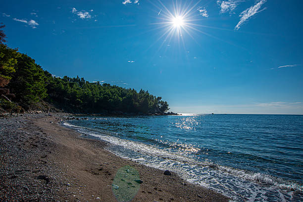 Pebble beach curves beside a calm blue sea, gentle waves touching the shore, pine forest on a rocky headland, bright sun with star rays shining in a clear sky above the water on a quiet day.