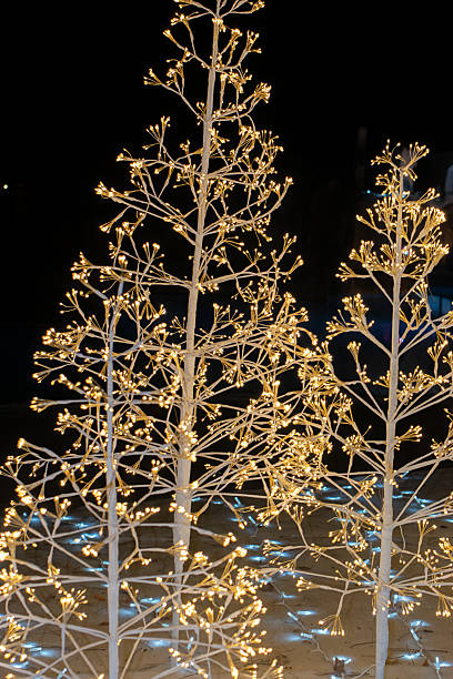istock Christmas Trees with Lights Glowing in the Dark Park 2249096687