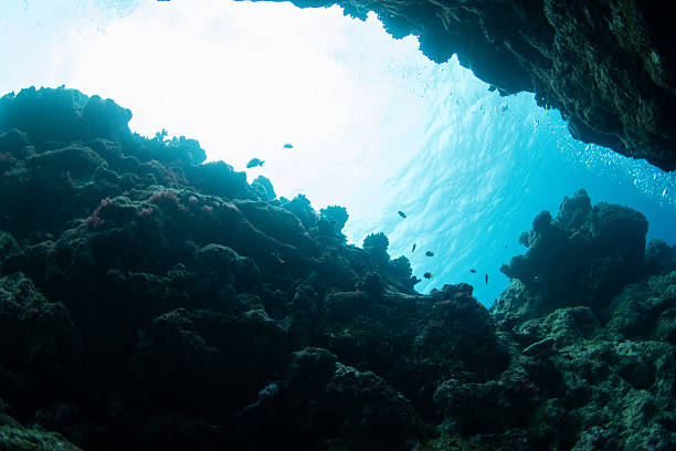 istock Looking Up from Inside an Underwater Cavern with Natural Rock Openings 2249101684