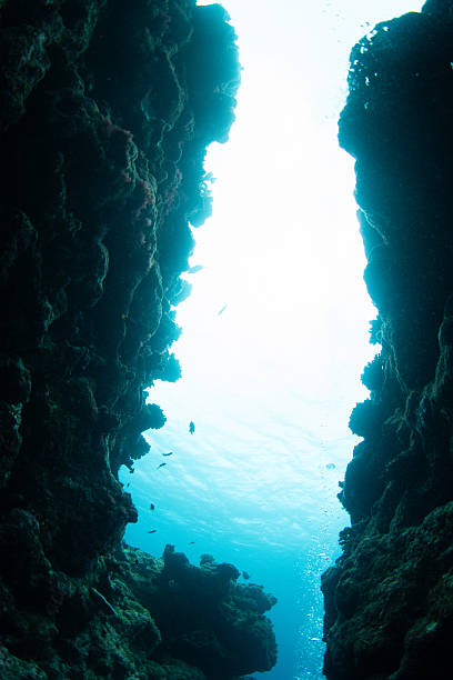 istock Looking Up from Inside an Underwater Cavern with Natural Rock Openings 2249101697