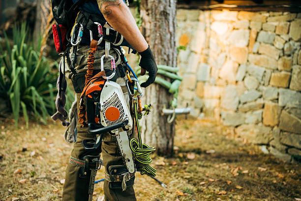 Arborist at job site,ready to cut some trees and branches.