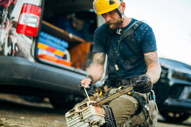 istock Arborist preparing his equipment for taking care of trees. 2249103761