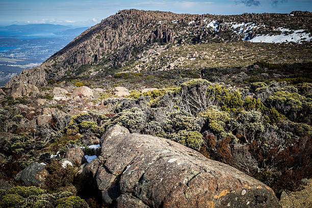 istock Mount Wellinton - Tasmania 2249104639