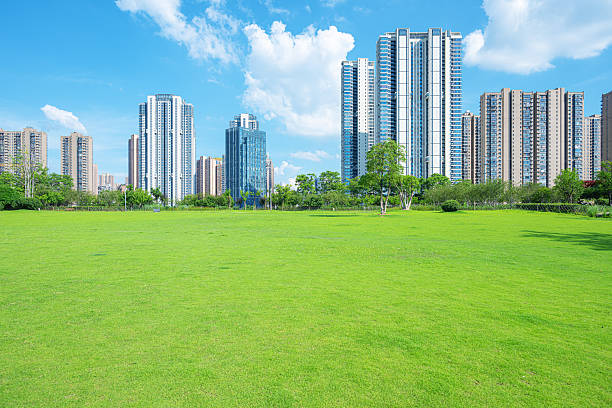 istock Green grass field in modern urban park 2249105979