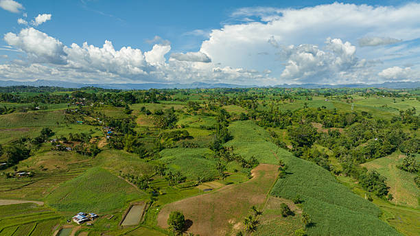 istock Farmland in the Philippines. 2249109746