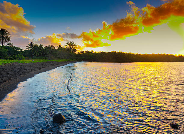 Dawn on Black Sand Beach and Mangrove Trees, Ualapu'e,  Molokai ,Hawaii, USA