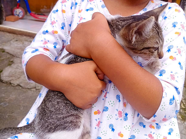 Asian little girl gently cuddles a kitten, showing emotional connection between kids and their pets