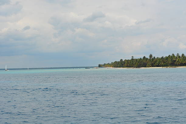 Rippling azure waters stretch towards a distant shoreline adorned with swaying palm trees. A peaceful atmosphere surrounds this coastal paradise as clouds softly drift above.
