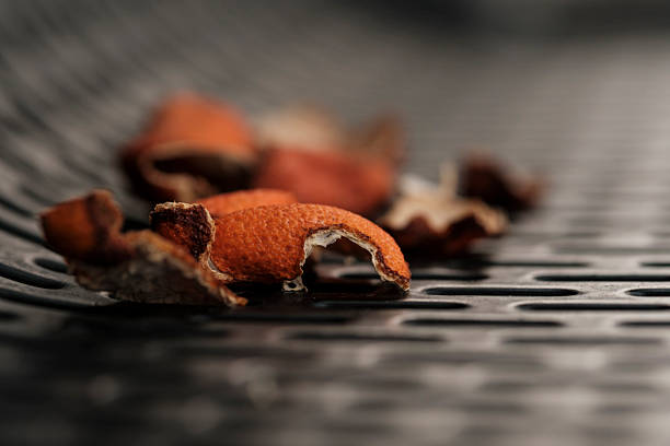 Dried orange peels with rough textures resting on a perforated metal colander surface, offering a close-up perspective of the aged citrus zest used for cooking and aromatherapy
