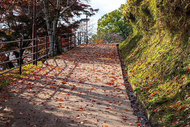 istock The trail with autumn leaves at Mt. Mimuro 2249118094