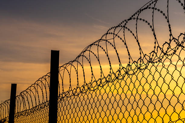 Barbed wire fence at sunrise