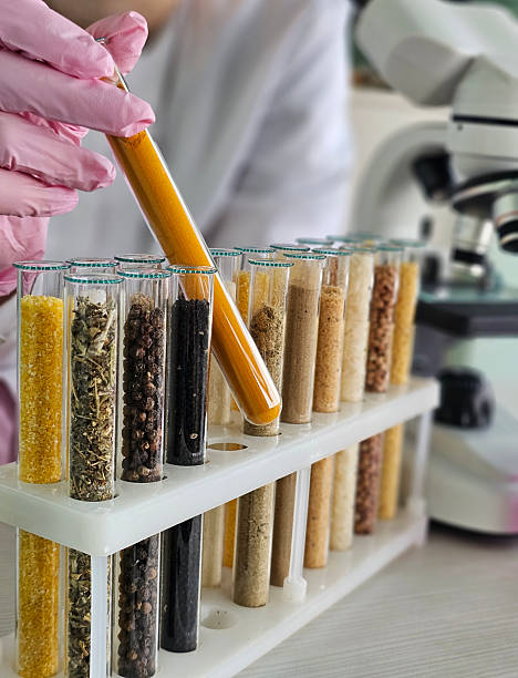 istock Researcher conducts an experiment using colorful test tubes filled with various substances in a laboratory 2249120912